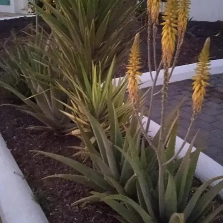 Blue View Hermoso Remodelado Ubicacion Ideal Appartement Costa Teguise