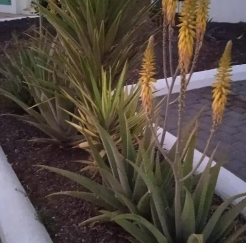 Blue View Hermoso Remodelado Ubicacion Ideal Apartment Costa Teguise